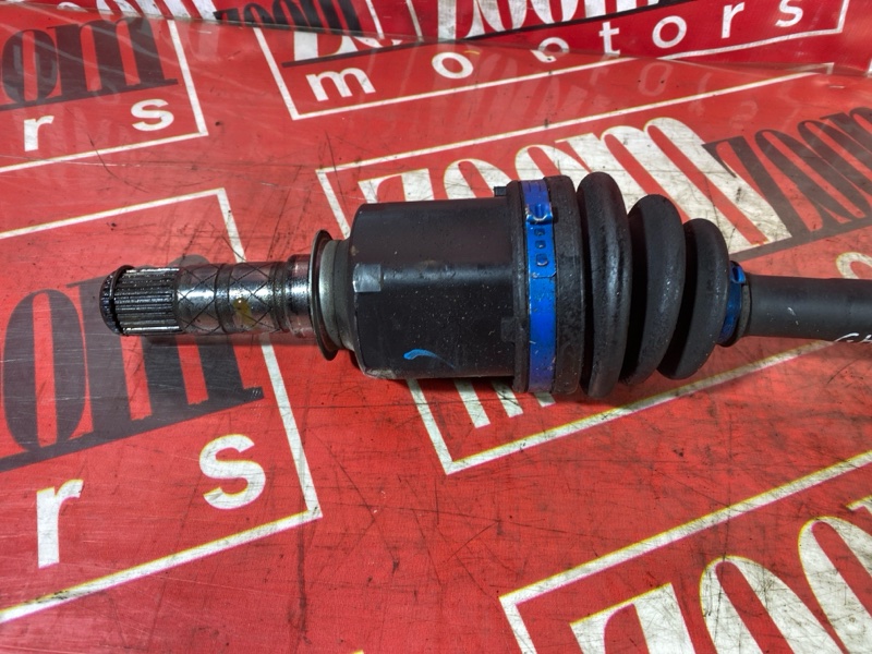 Привод, 4000 рублей, Солонцы