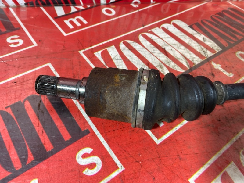 Привод, 3500 рублей, Солонцы