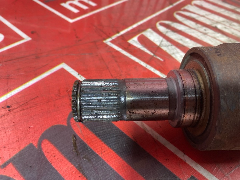 Привод, 3500 рублей, Солонцы