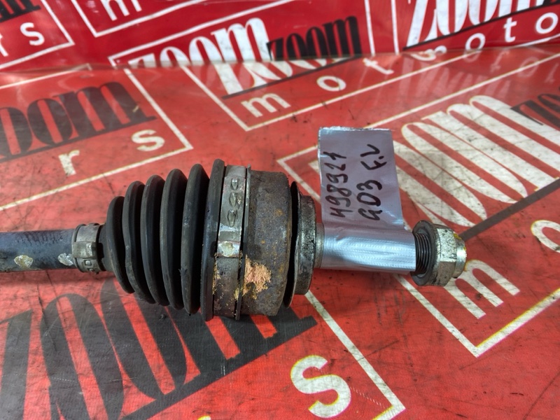 Привод, 3500 рублей, Солонцы