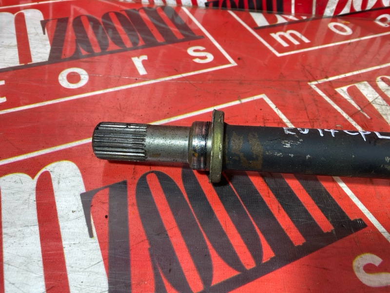 Привод, 7000 рублей, Солонцы