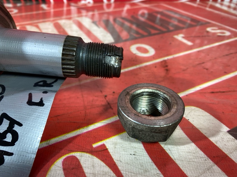 Привод, 11000 рублей, Солонцы