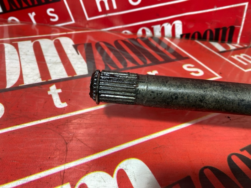 Привод, 3000 рублей, Солонцы