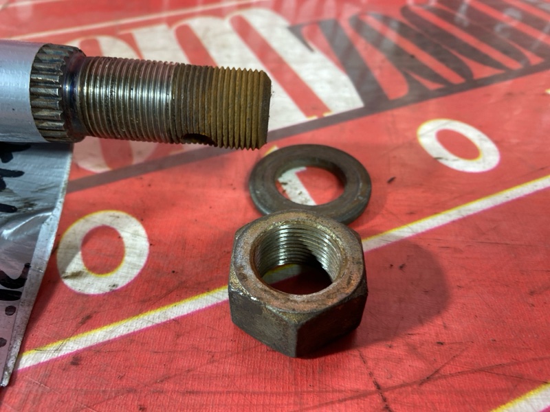 Привод, 3000 рублей, Солонцы