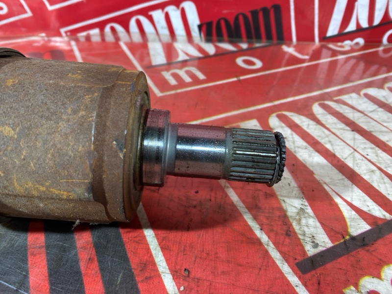 Привод, 3000 рублей, Солонцы