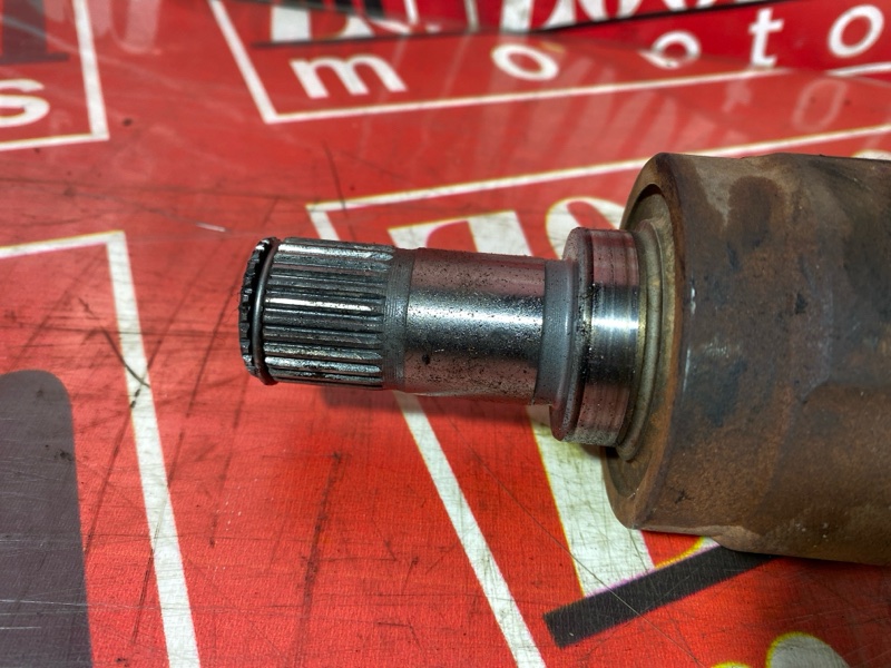 Привод, 3500 рублей, Солонцы