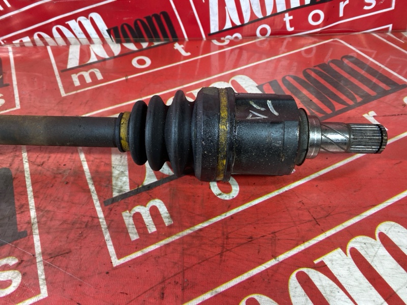 Привод, 1900 рублей, Солонцы