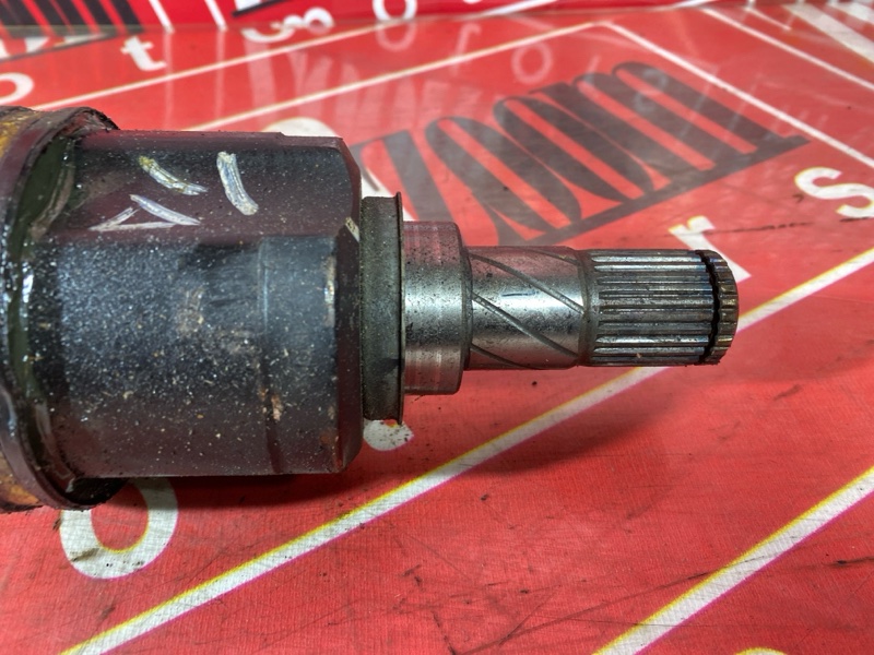 Привод, 1900 рублей, Солонцы