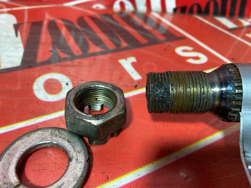 Привод, 1900 рублей, Солонцы