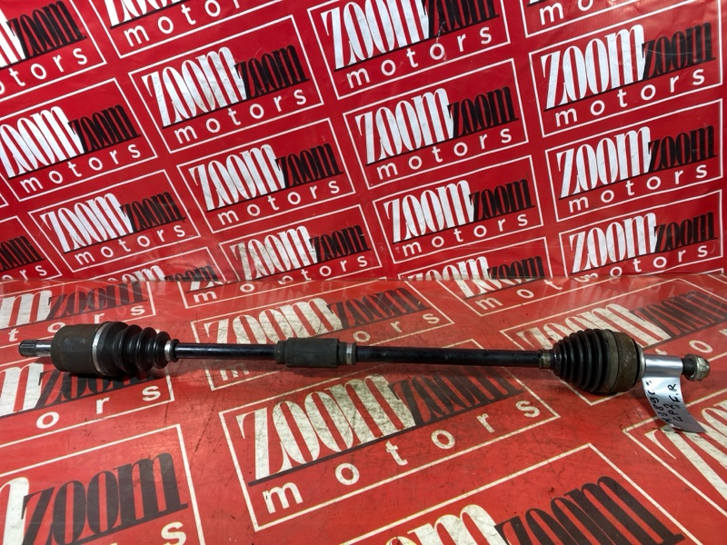 Привод, 1700 рублей, Солонцы