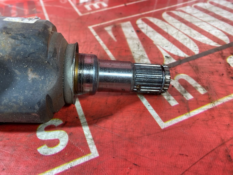 Привод, 1800 рублей, Солонцы