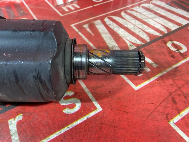 Привод, 6000 рублей, Солонцы