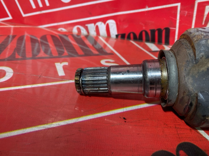 Привод, 2400 рублей, Солонцы