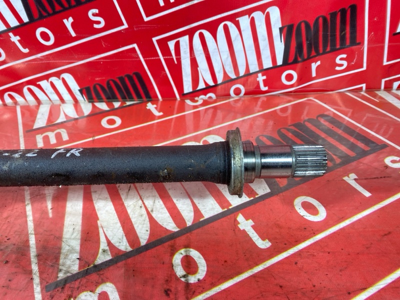 Привод, 6000 рублей, Солонцы