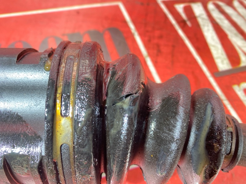 Привод, 1800 рублей, Солонцы