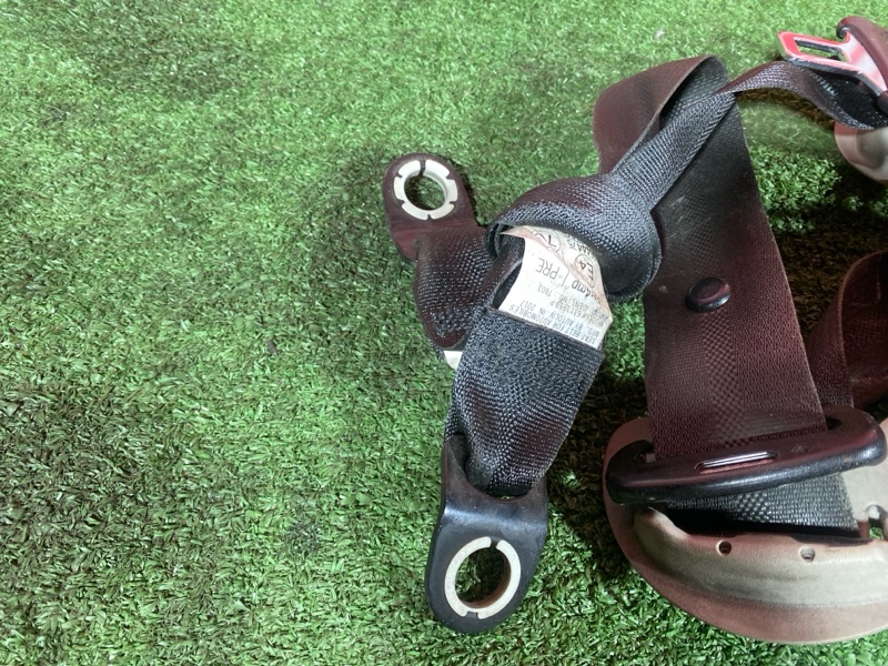 Ремень безопасности, 10000 рублей, Солонцы