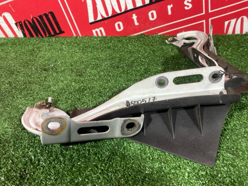 Петля (Шарнир капота), 10000 рублей, Солонцы