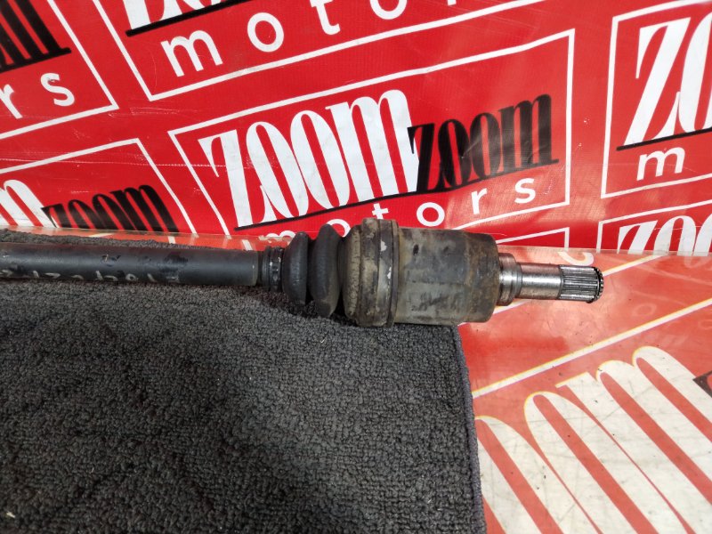 Привод, 4000 рублей, Солонцы