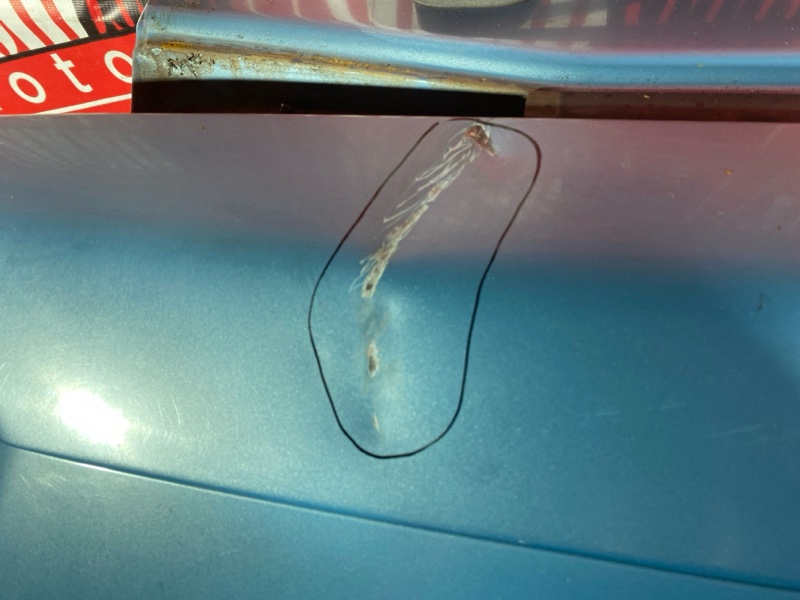 Крыло, 35000 рублей, Солонцы