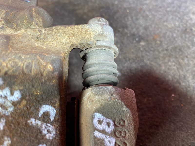 Суппорт, 1000 рублей, Солонцы