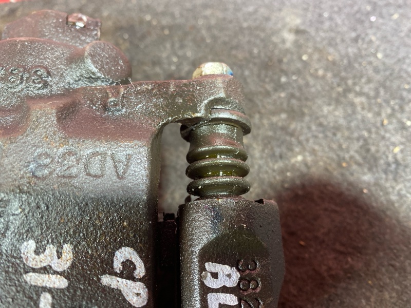 Суппорт, 1000 рублей, Солонцы