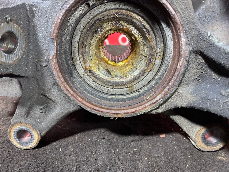 Ступица, 1000 рублей, Солонцы