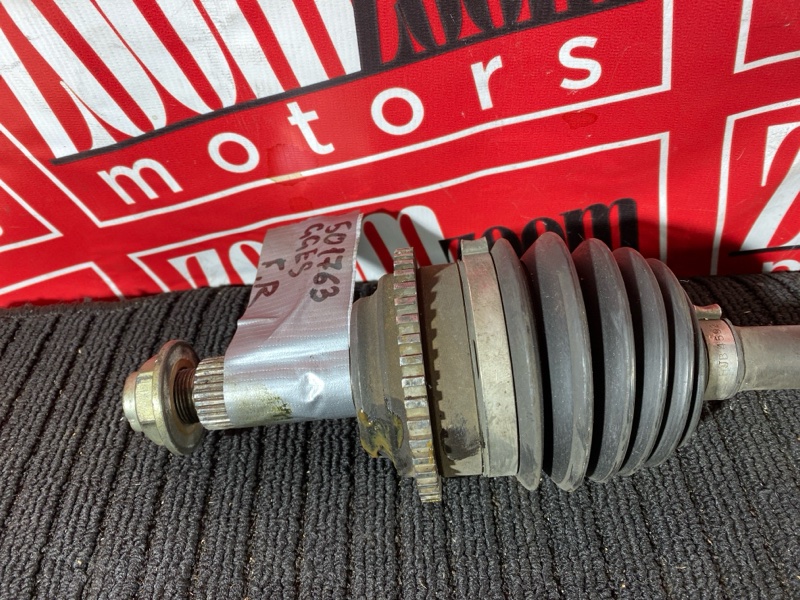 Привод, 6000 рублей, Солонцы