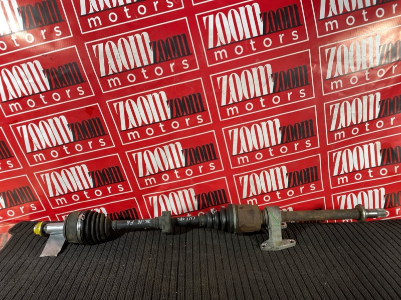 Привод, 10000 рублей, Солонцы