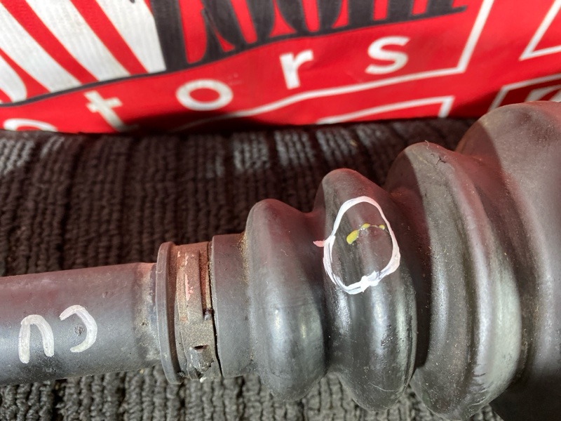 Привод, 10000 рублей, Солонцы