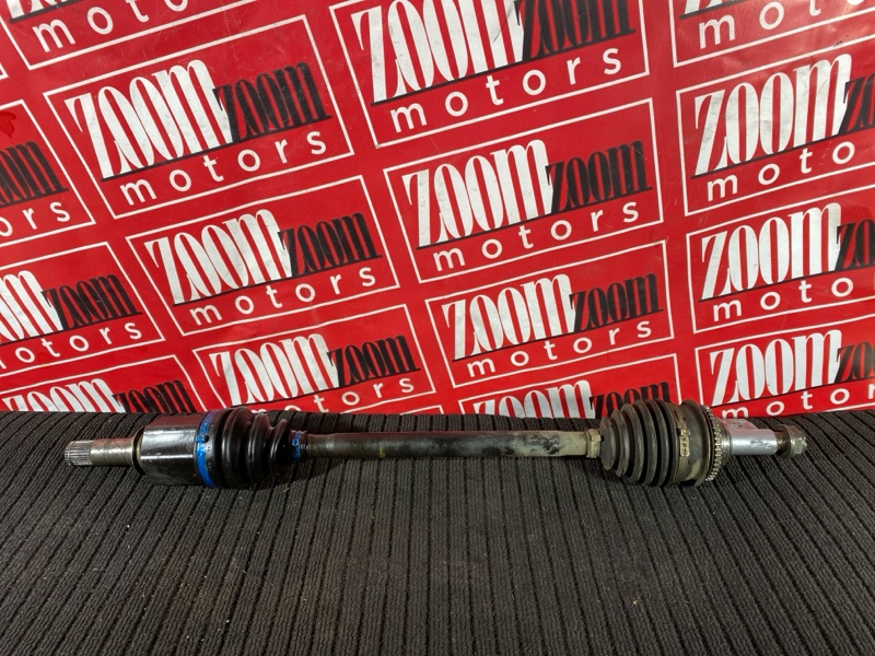 Привод, 7000 рублей, Солонцы