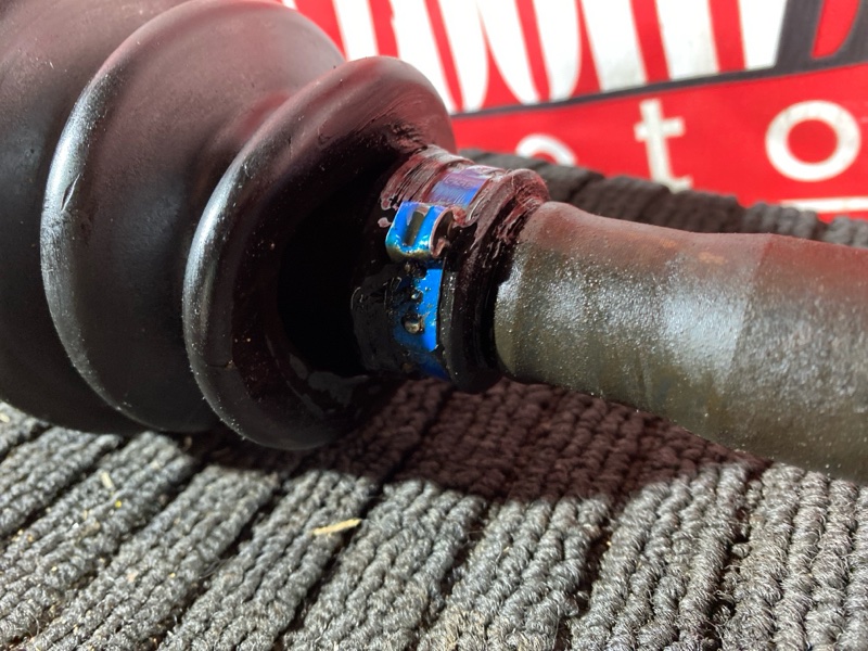 Привод, 7000 рублей, Солонцы