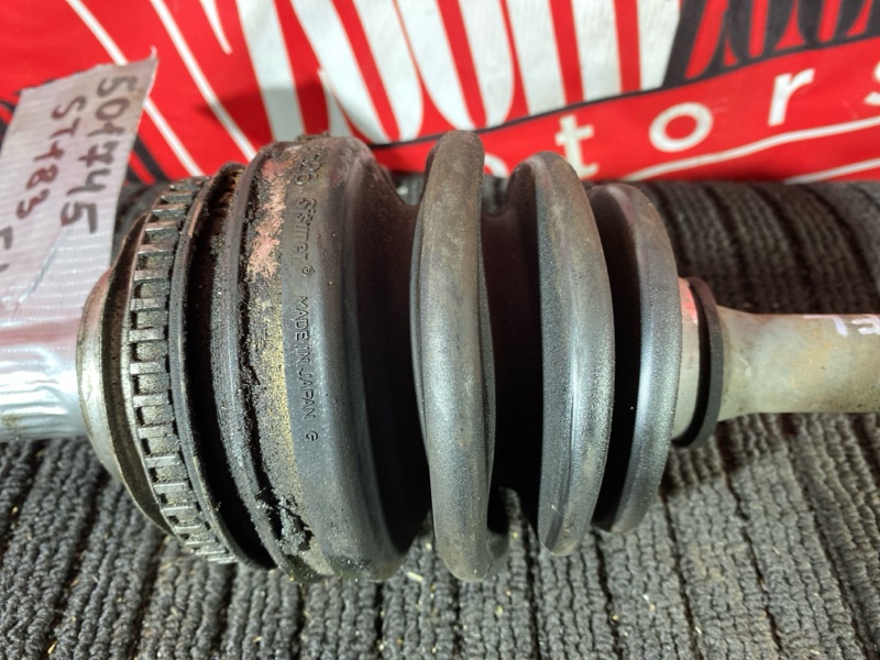 Привод, 8000 рублей, Солонцы