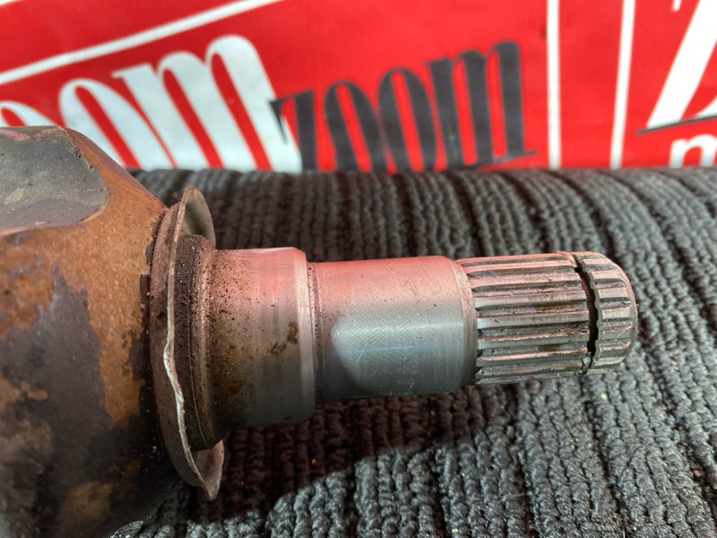 Привод, 8000 рублей, Солонцы