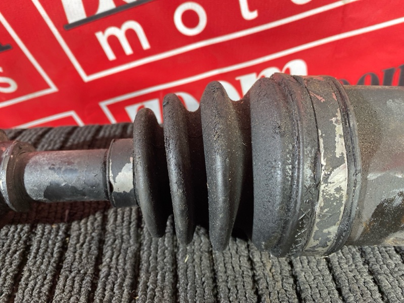 Привод, 2500 рублей, Солонцы