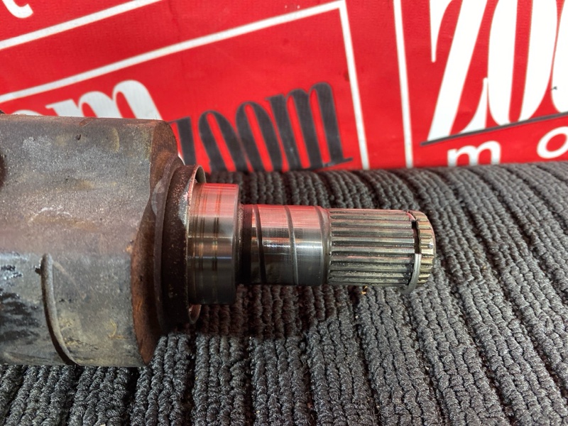 Привод, 2500 рублей, Солонцы