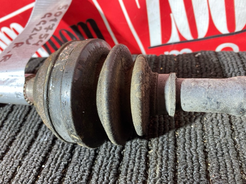 Привод, 3200 рублей, Солонцы