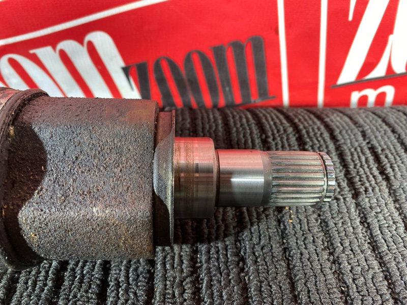 Привод, 3200 рублей, Солонцы