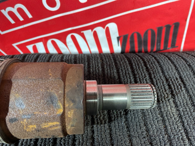 Привод, 2400 рублей, Солонцы