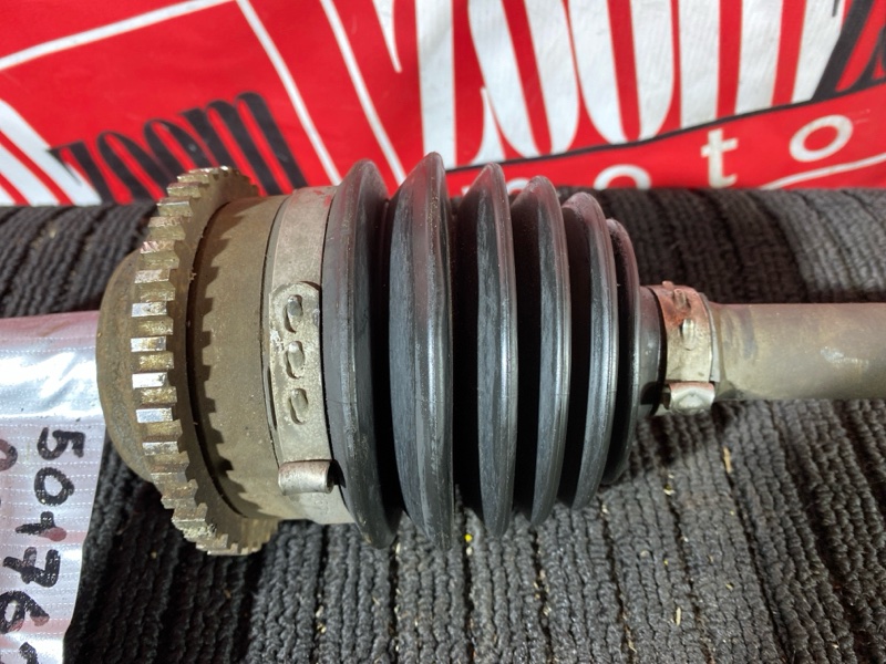 Привод, 3000 рублей, Солонцы