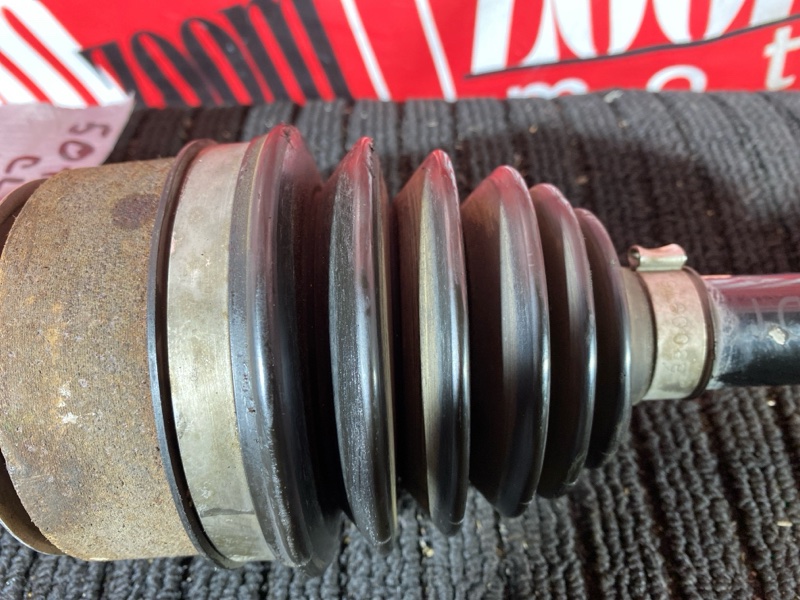 Привод, 2800 рублей, Солонцы