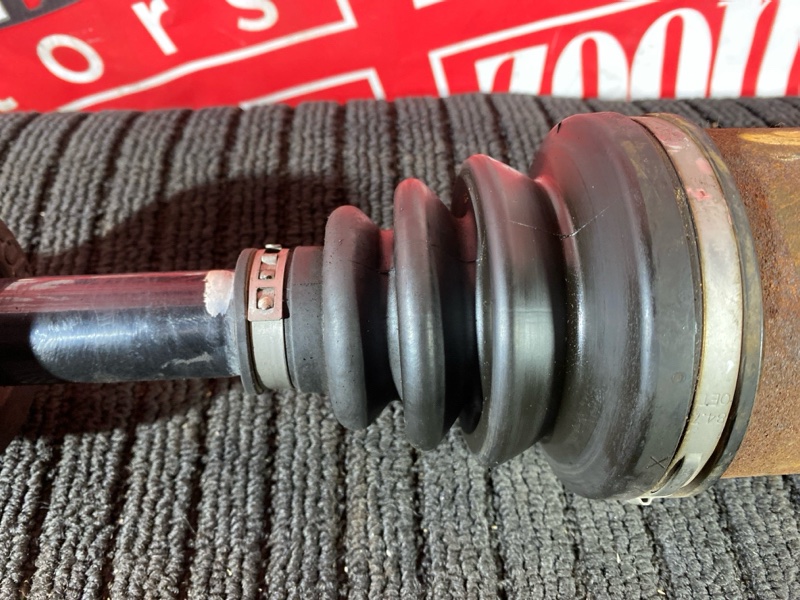 Привод, 2800 рублей, Солонцы