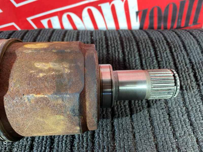 Привод, 2800 рублей, Солонцы