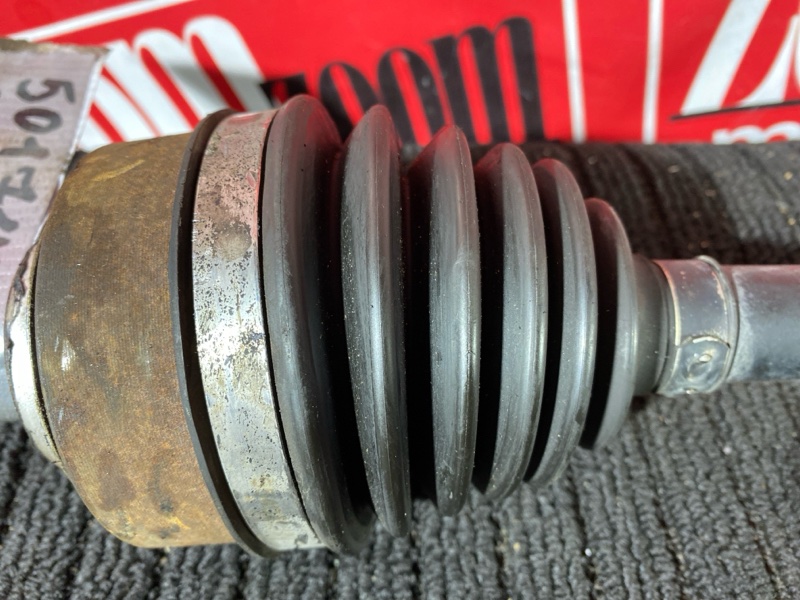 Привод, 5000 рублей, Солонцы