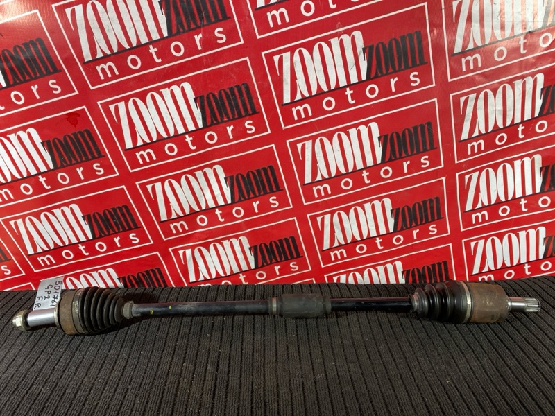 Привод, 1700 рублей, Солонцы