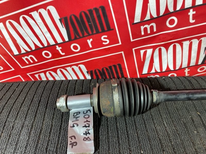 Привод, 8000 рублей, Солонцы