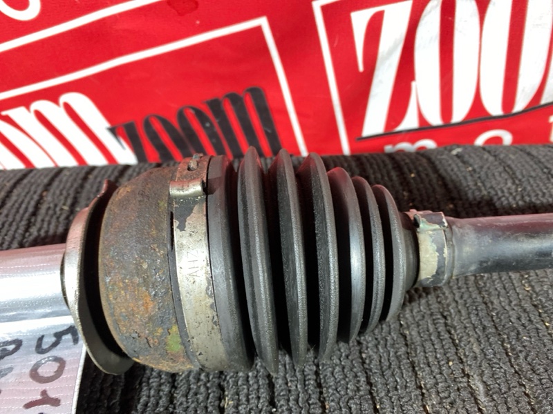 Привод, 8000 рублей, Солонцы