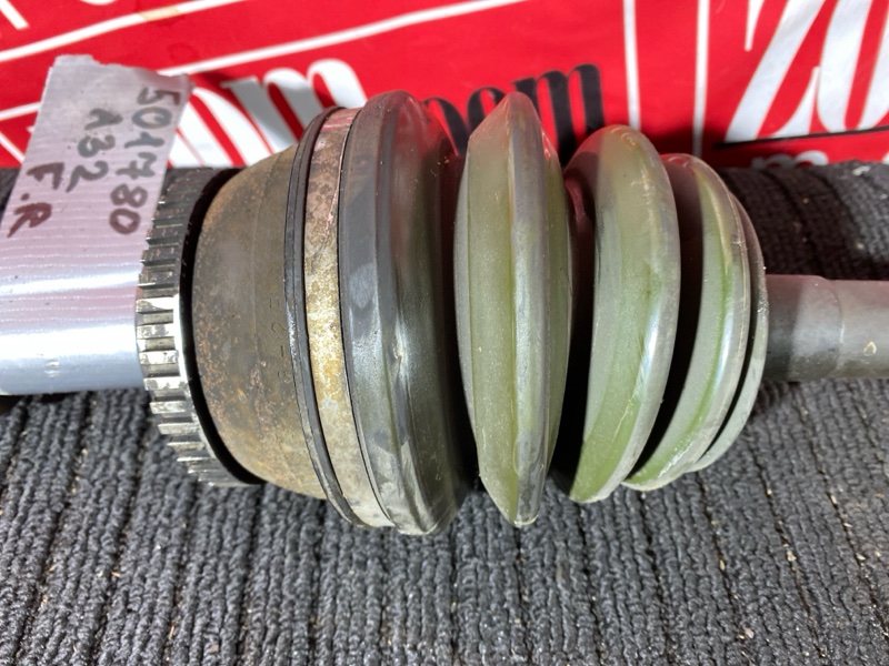 Привод, 6000 рублей, Солонцы