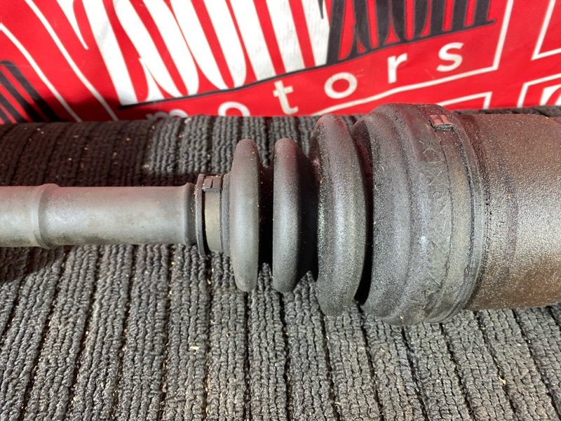 Привод, 6000 рублей, Солонцы