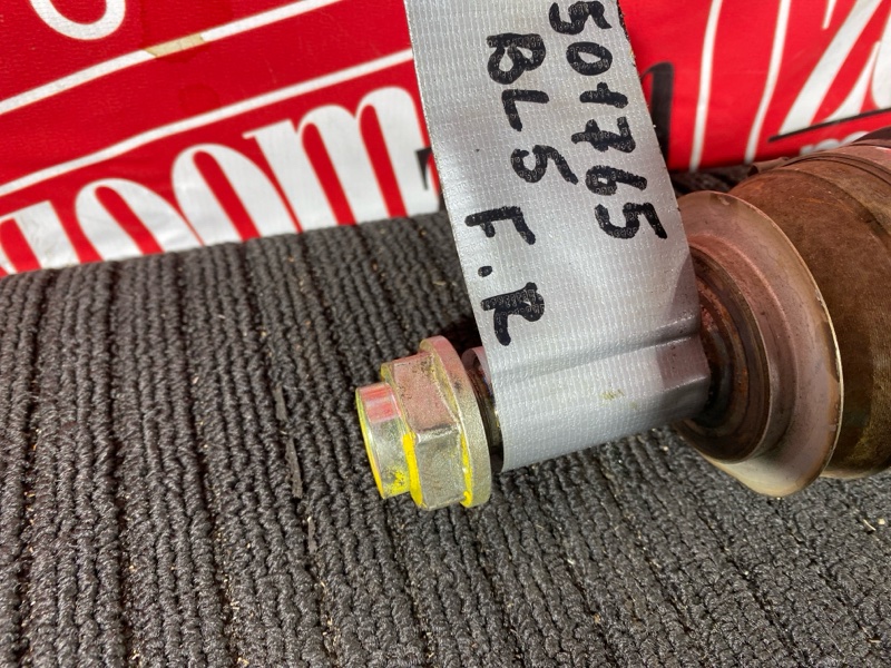 Привод, 3000 рублей, Солонцы