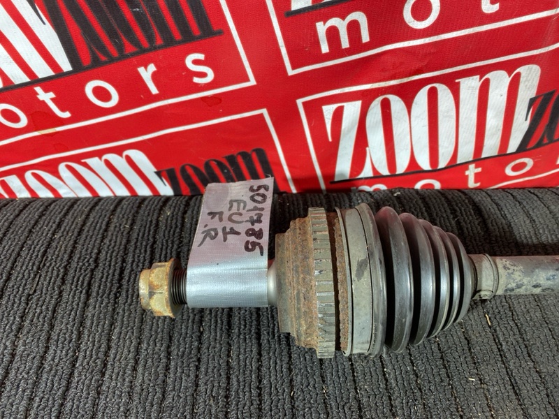 Привод, 4000 рублей, Солонцы